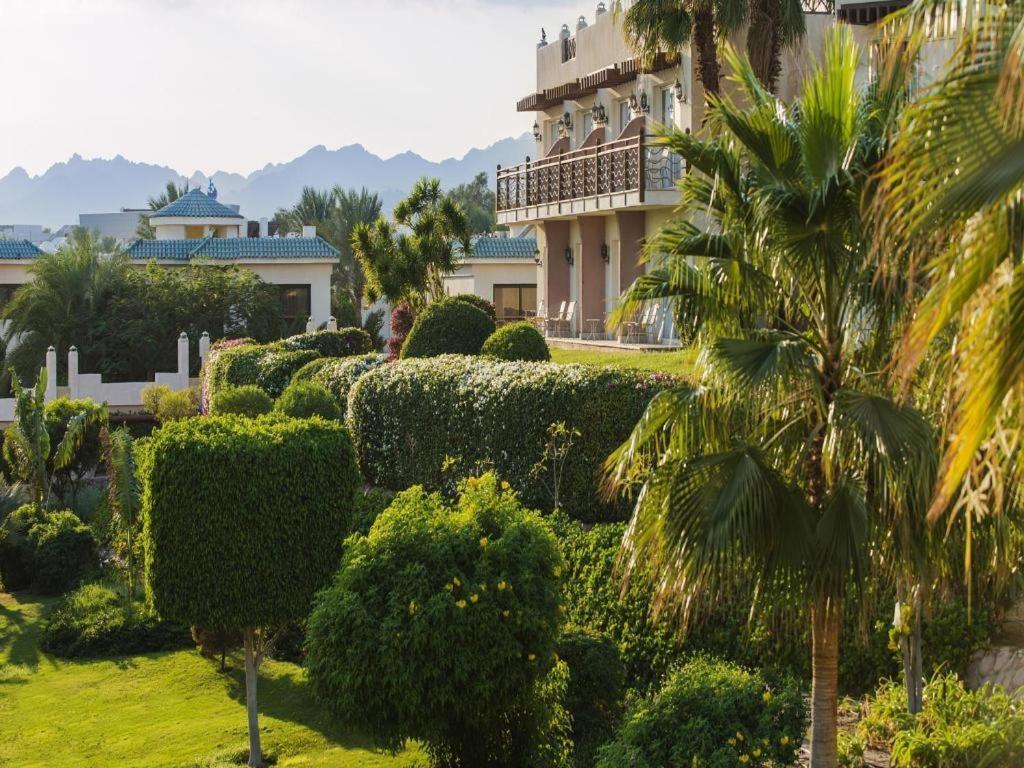 Concorde El Salam Sharm El Shiekh Hotel Exterior photo
